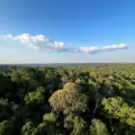 Tânia Rêgo/Agência Brasil